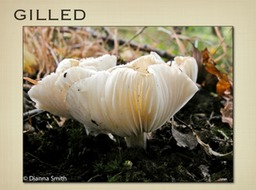 Slide32