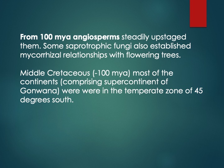 Slide35