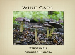 Slide36