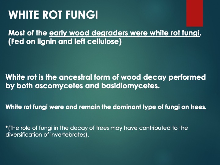 Slide37