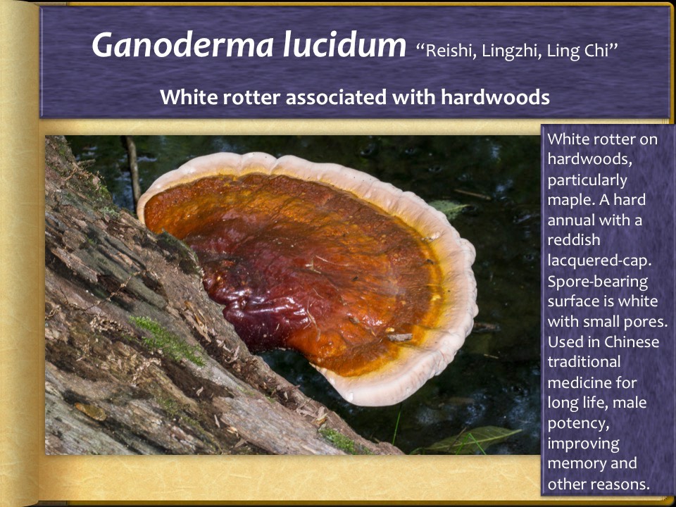 Slide37