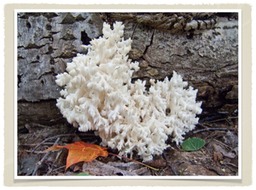 Slide39