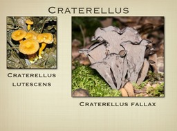 Slide41