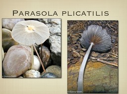 Slide45