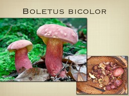 Slide47