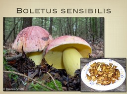 Slide48