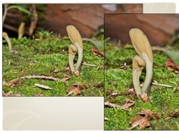 Slide49