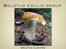 Slide49