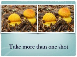 Slide50