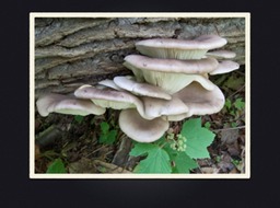 Slide53
