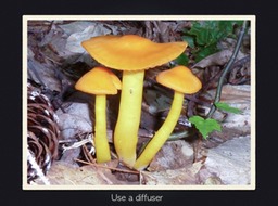 Slide54