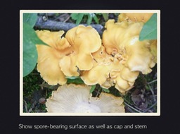 Slide55