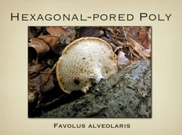 Slide55