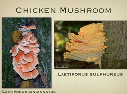 Slide56