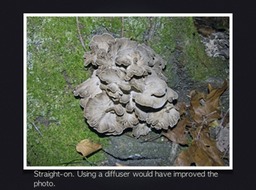 Slide57