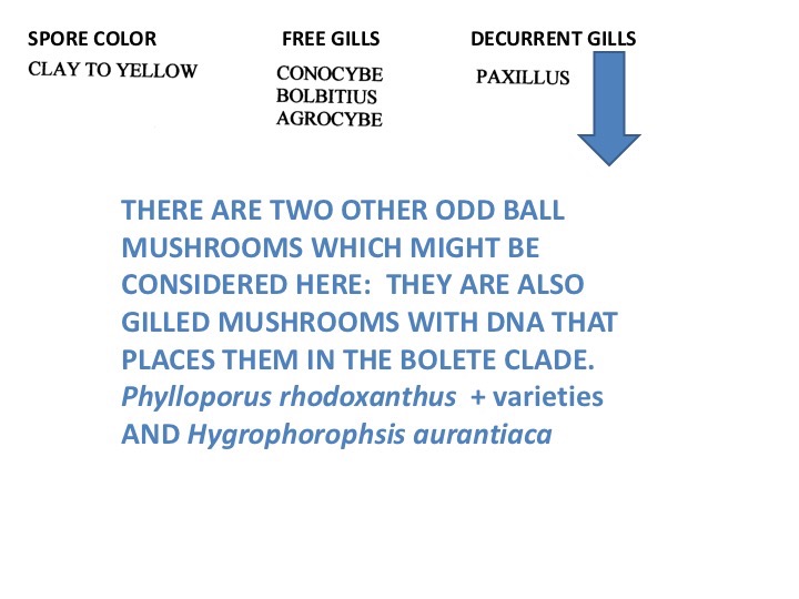 Slide57