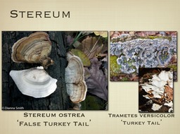 Slide58