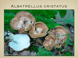 Slide59
