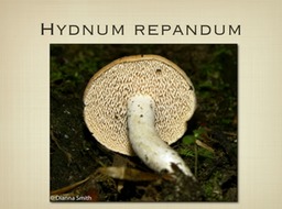 Slide65