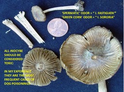 Slide70