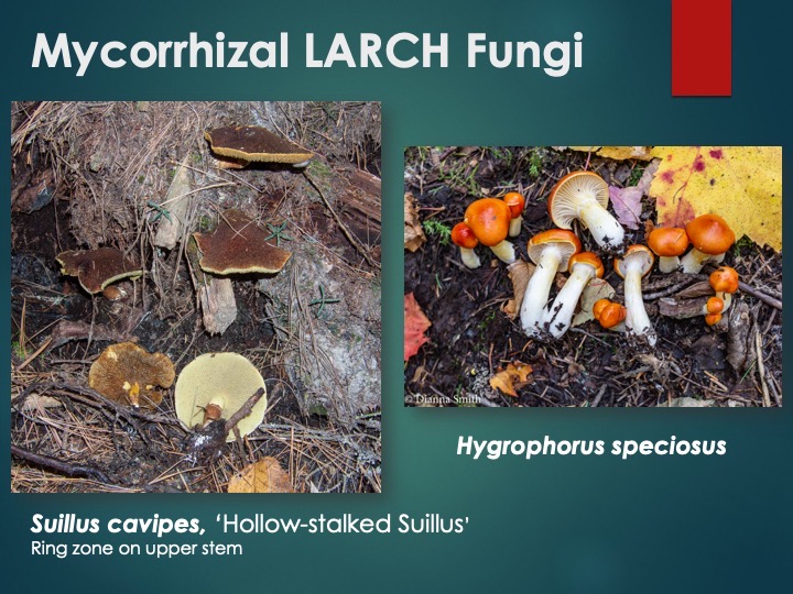 Slide72