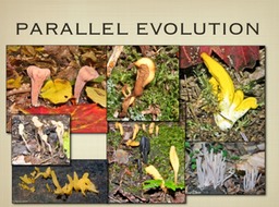 Slide72