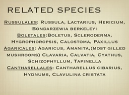 Slide73