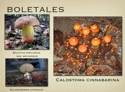 Slide75