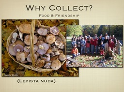 Slide78