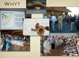 Slide79