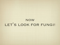 Slide81