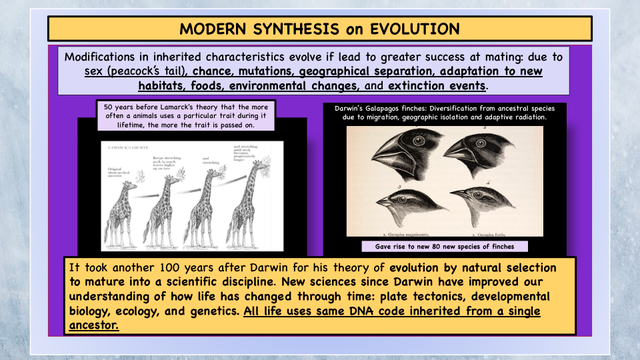 EVOLUTION  5.3.21[Autosaved] (dragged)