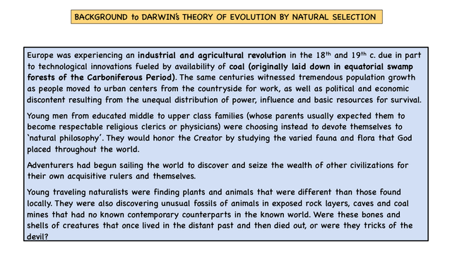 EVOLUTION  5.3.21[Autosaved] (dragged)