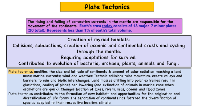 EVOLUTION [Autosaved] (dragged)