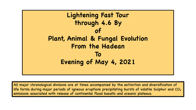 EVOLUTION [Autosaved] (dragged)