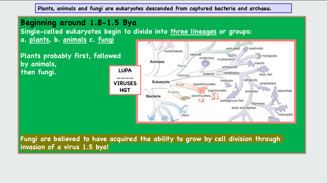 EVOLUTION [Autosaved] (dragged)
