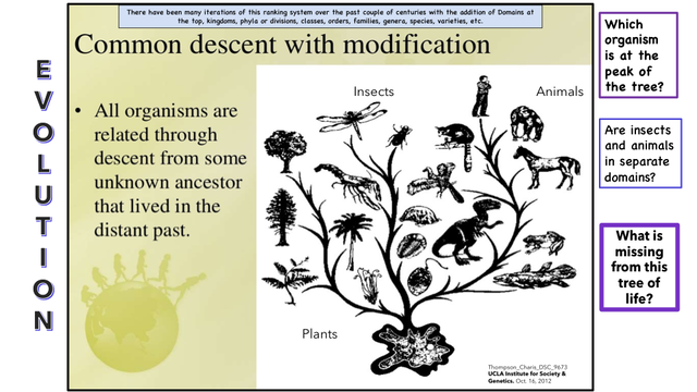 EVOLUTION [Autosaved] (dragged)