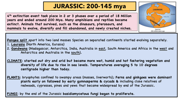 EVOLUTION [Autosaved] (dragged)
