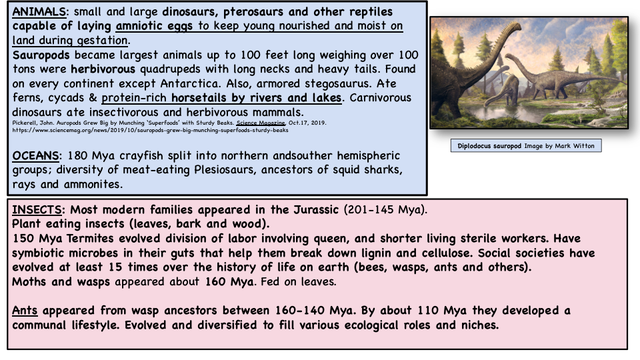 EVOLUTION [Autosaved] (dragged)