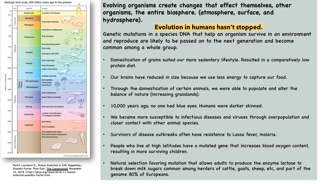 EVOLUTION [Autosaved] (dragged)