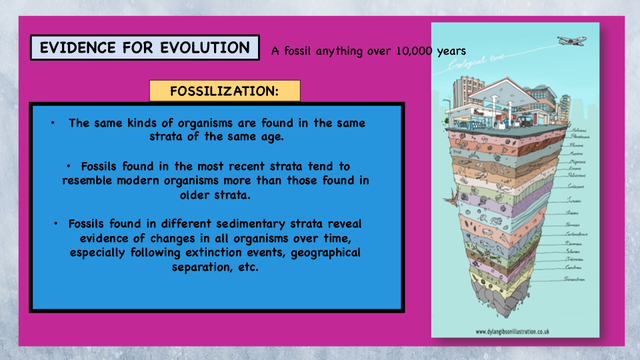 EVOLUTION [Autosaved] (dragged)