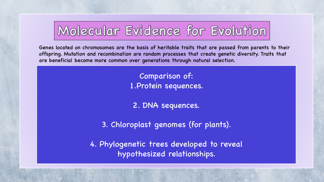 EVOLUTION [Autosaved] (dragged)