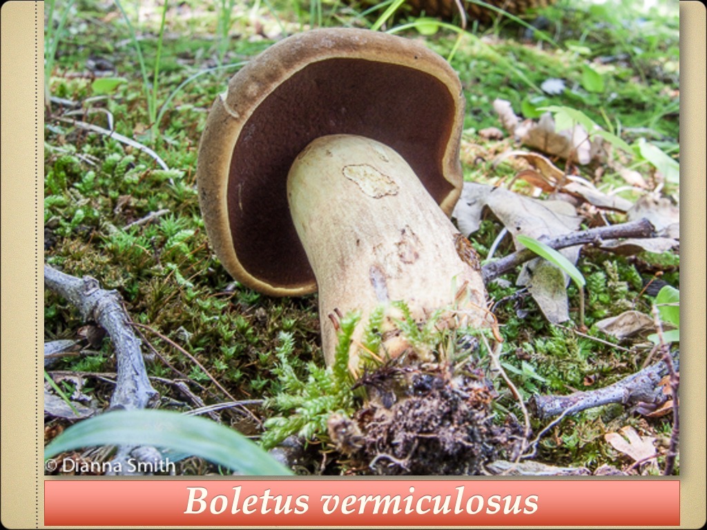 Slide105