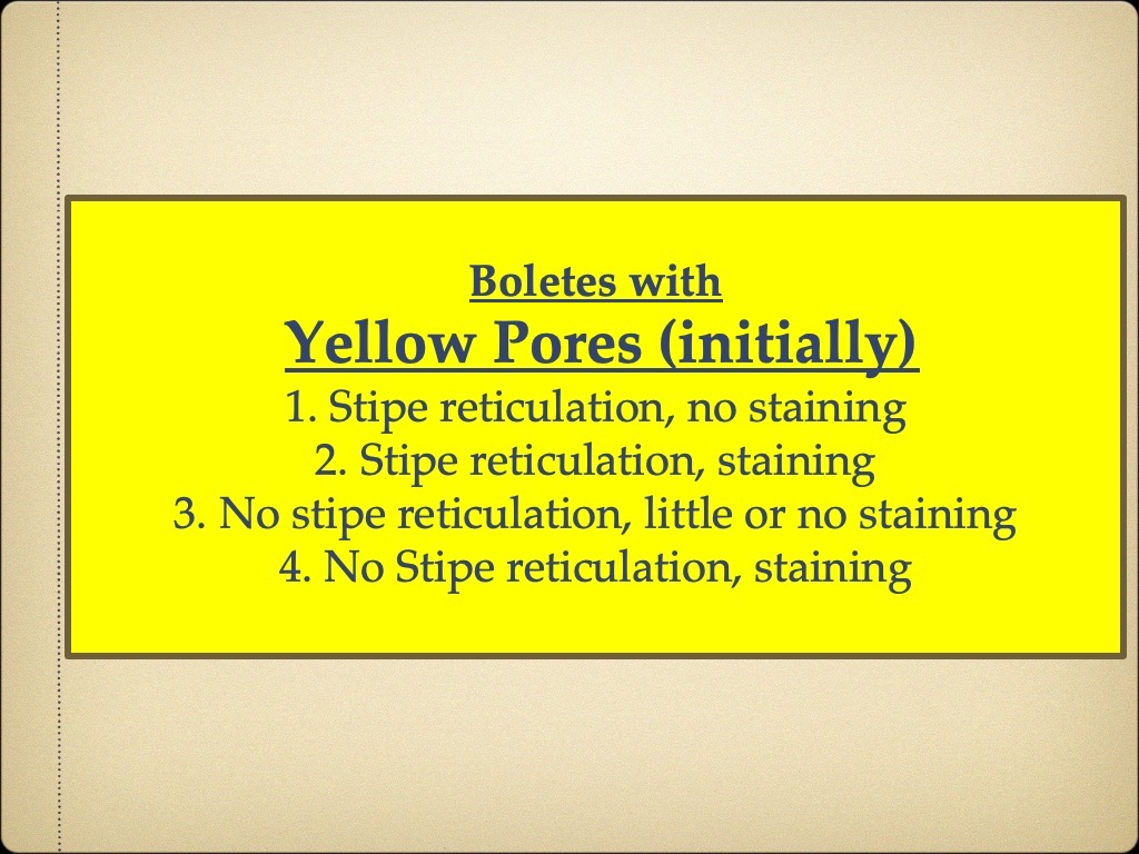 Slide17