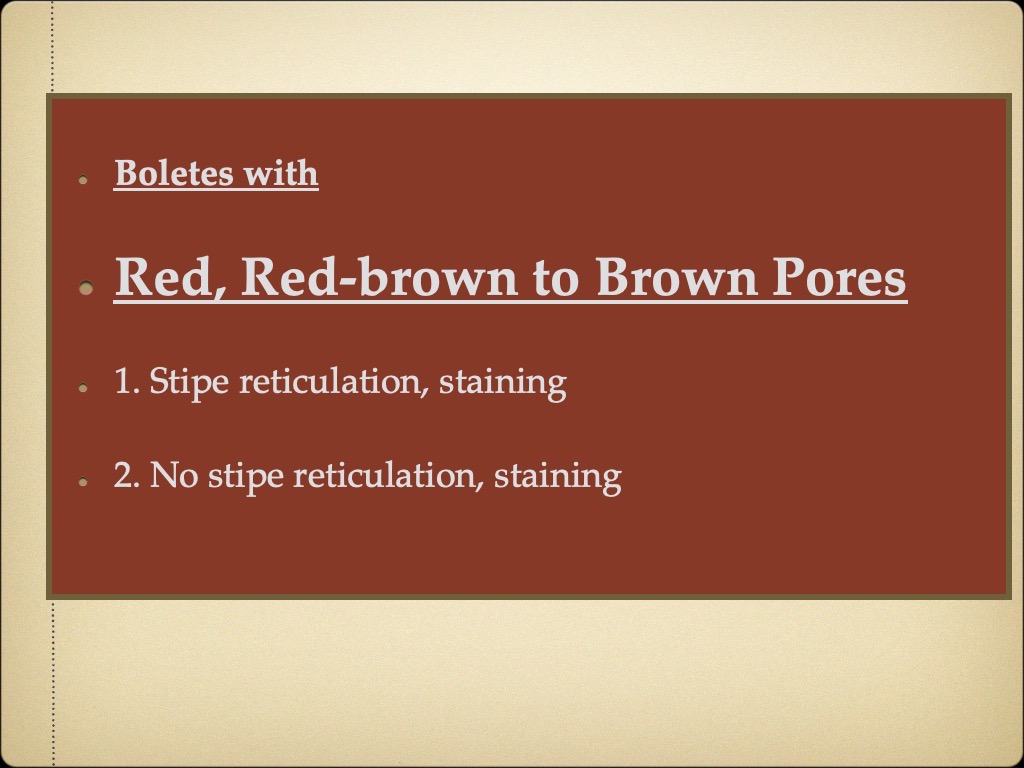 Slide18