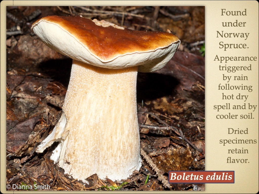 Slide21