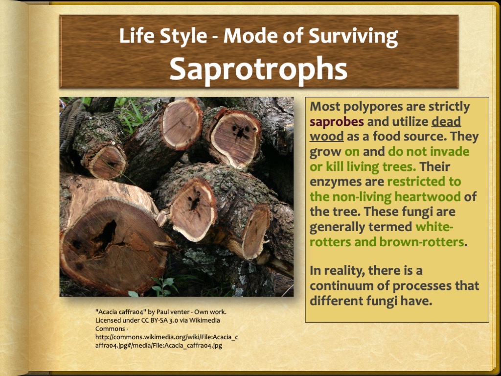 Slide23