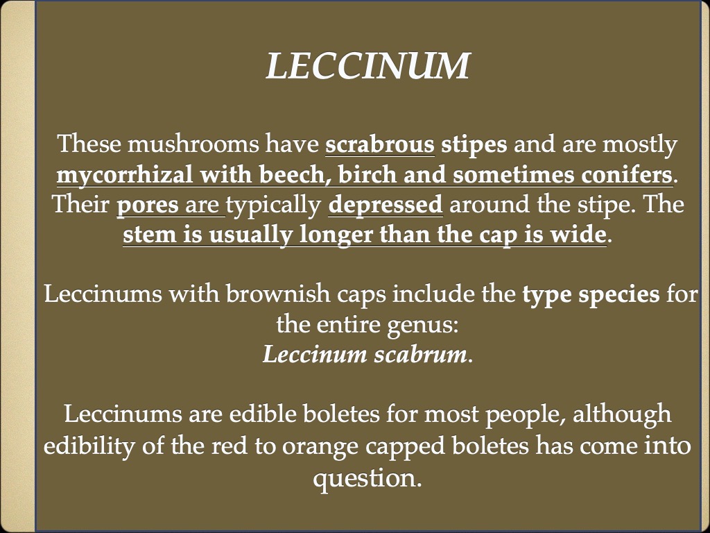 Slide30