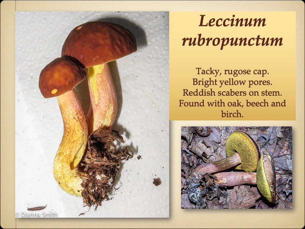 Slide35