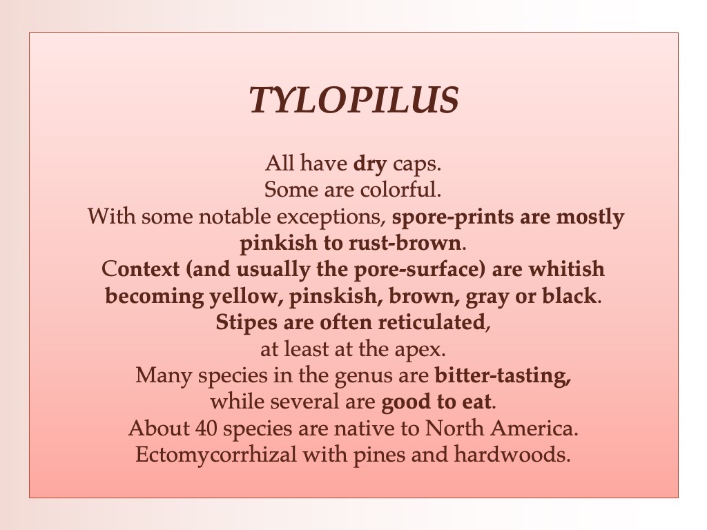 Slide42